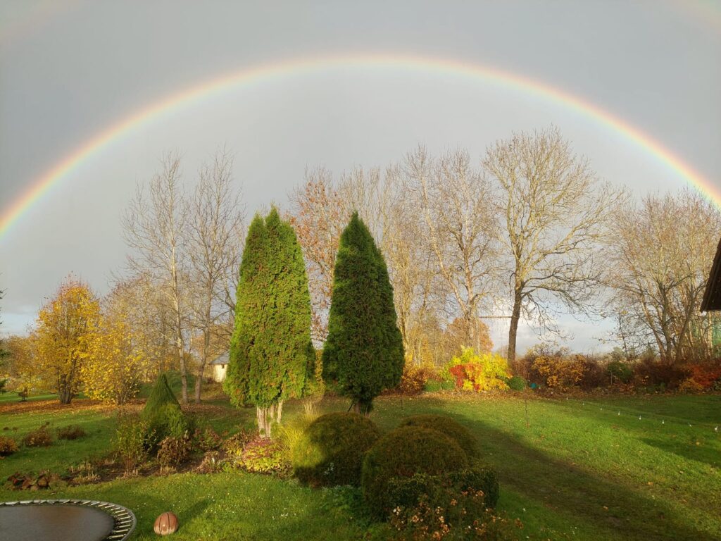 whatsapp image 2026 02 26 at 21.08.30